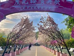 -观澜湖生态运动公社