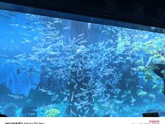 -北戴河圣蓝海洋公园