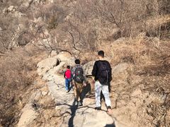 -阳台山自然风景区