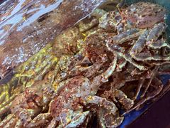 -蟹之国·精品蟹料理(极地店)