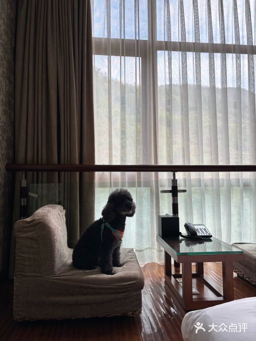 中铁花水湾温泉酒店(大邑店)图片