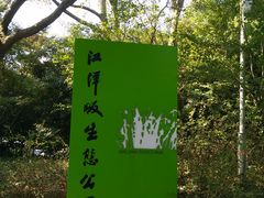 -西湖风景区-江洋畈生态公园