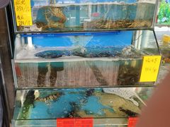 -阿弟特色海鲜餐厅·大排档(平潭店)