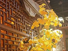 -徽镇小厨·经典徽菜(十里河店)