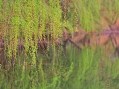 -黄陂区野村谷景区
