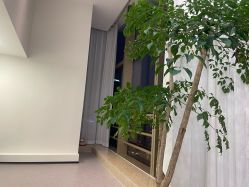 -JNK皮肤管理中心