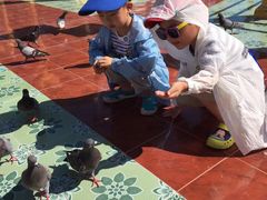 -都江堰中华大熊猫苑
