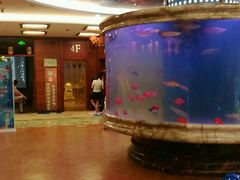 -印象·浅水湾(百乐门大厦店)