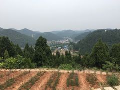 景点-中国香山·寿香谷
