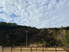 -枫露马术学院(藏书校区)