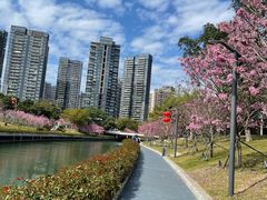 -深圳湾公园(南山区)