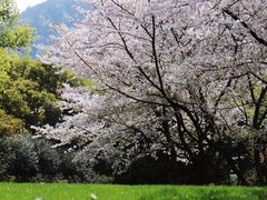 -中国茶叶博物馆(双峰馆区)