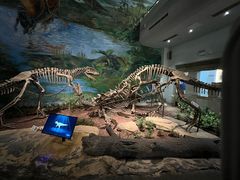 -自贡恐龙博物馆
