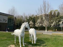 -春晖园度假酒店温泉