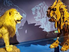 -国家自然博物馆