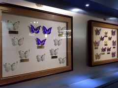 -上海昆虫博物馆