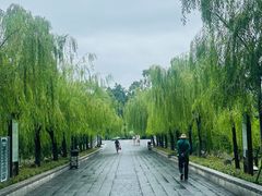 -西湖公园(鼓楼区)
