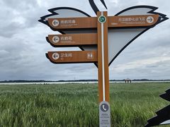 -黑龙江扎龙生态旅游区