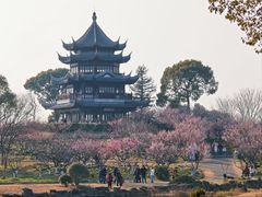 -上海海湾国家森林公园