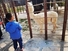 -保定市动物园