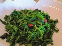 护肝桑叶苗-归元·云集斋素菜馆