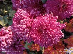 -螃蟹岬(地铁站)