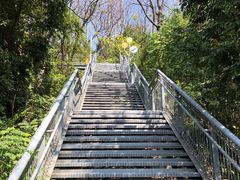 -佛山华盖山公园