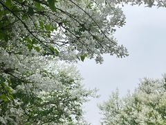 -天坛公园