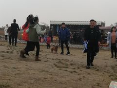 -仁华宠物医院(青羊店)