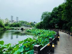 -金山公园