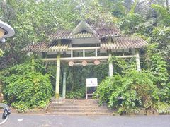 -西双版纳原始森林公园