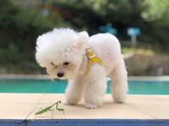 -北京山里寒舍度假酒店