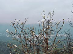-梅州雁山湖国际花园度假区