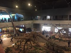 -自贡恐龙博物馆