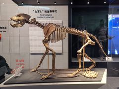 -北京周口店北京人遗址博物馆