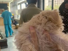 -pd派德宠物中心医院24H急重症·眼科中心·血液透析中心(嵩山北路店)