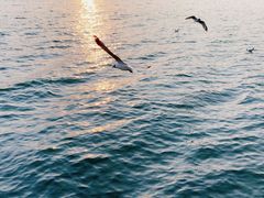 -大理洱海