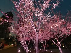 -西北湖绿化广场