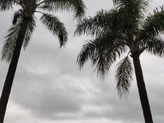 -南宁南湖公园