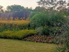 -新江湾城公园