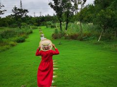 -上海长兴岛郊野公园