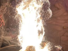-迦南苑·新派青岛菜·生日纪念日主题餐厅