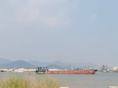 -芒洲湿地公园