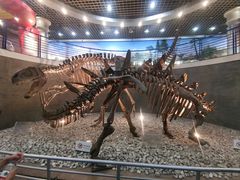 -国家自然博物馆