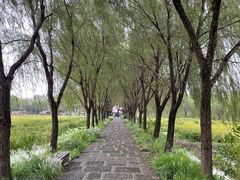 -长兴太湖图影湿地文化园