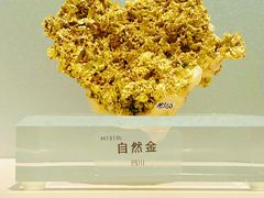 -中国地质博物馆
