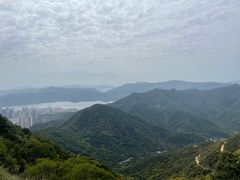 -梧桐山风景名胜区