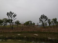 -盘龙城国家考古遗址公园