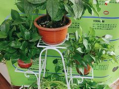 -自然之声助听器·呼吸机(和平店)