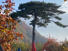 -秦岭终南山世界地质公园翠华山景区